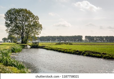 Backlit Image Of A Typical Dutch Polder Landscape. In The Background Is A Large Tree And A Small Bridge Over The Water. Wooden Gates And Fences Are Visible In The Meadows. Autumn Has Begun Now.