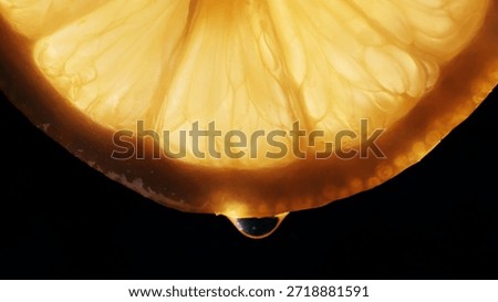 Backlit lemon slice dripping a single drop of juice, highlighting freshness