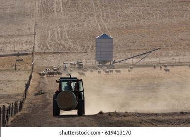 A backlit photograph of a tractor carrying a bale of hay and kicking up some dust on a dry but picturesque farm in Central Western NSW, Australia. 