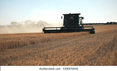 Backlit Shot Of Combine Harvester In Western Australia