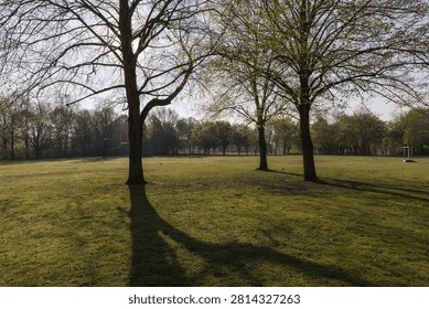 Backlit trees cast long shadows across an empty meadow in a Rhine-side park in Bonn during the coronavirus lockdown, devoid of visitors.
