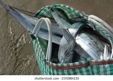 Backpack With Fish Inside The Beach Of Veracruz