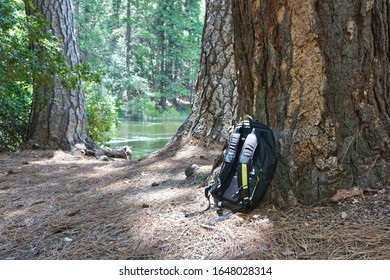 Backpack in the forest. Rest in the forest. Time to think. Loneliness in the forest