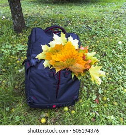 Backpack, leaves and apples