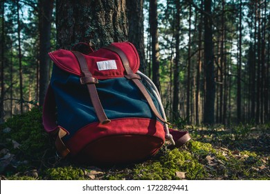 The backpack is lying next to a tree in the pine forest. Eco tourism. Hiking.
