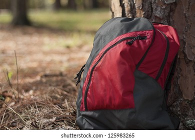 A backpack sitting against a tree with a shallow depth of field.