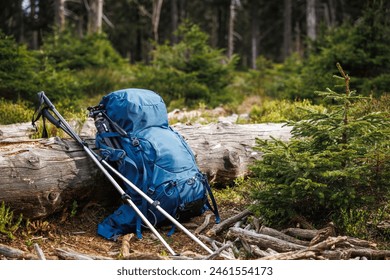 Backpack with tripod and hiking pole during trekking in forest. Outdoor equipment for hike and trekking activity