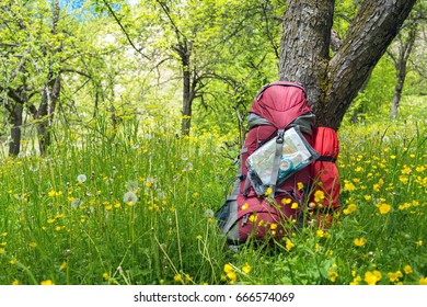 Backpack under a tree among lush grass and dandelions in a beautiful sunny day. Mood for travel.