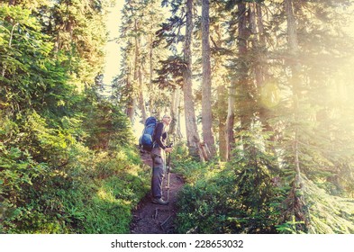 backpacker in forest
