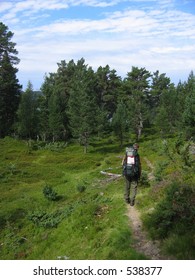 A backpacker in the nature
