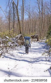 Backpacker On The Big Creek Trail In The Smoky Mountains After A Spring Snow