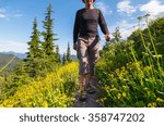 backpacker  in summer mountains