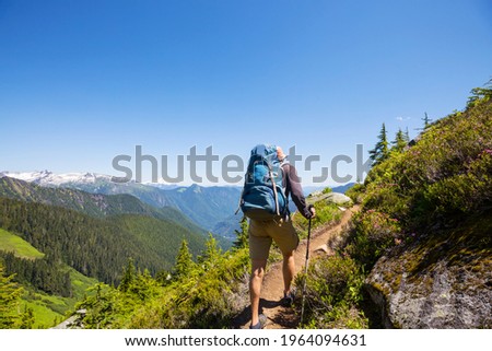Backpacker in the summer mountains