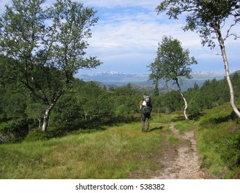 A backpacker walking in the nature