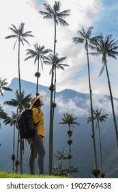 Backpacker Woman Walking In The Middle Of The Wax Palm. Colombian Landscape. Salento Colombia. Woman Traveling Alone. Female Hiking