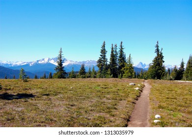 Backpacking/Hiking Path through the alpine meadows into the trees looking towards snow capped mountains and blue sky.  - Powered by Shutterstock