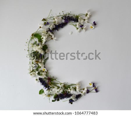 Similar – Wildflowers wreath Style