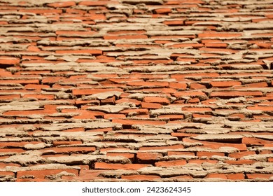 Backside of a brick wall. Uneven brick layout with mortar oozing out. Orange bricks weeping mortar.