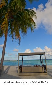 Backside Of A Man Enjoying Tropical Summer In Day Bed On White Sand Beach Looking Out Into Turquoise Ocean Waves. On The Left Is A Tall Coconut Tree With Green Leafs Under Beautiful Sky.