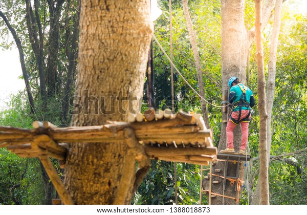 Backside of man on tree with helmet and belt\
cabinet ,outdoor activity\
sport