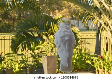 Backside Of A Sulphur Crested Cockatoo Sitting On A Glass Pool Fence