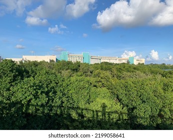 Backwater And Untouched Jungle Of Cancun’s Hotel Zone Peninsula. Cancun, Mexico, August 12th 2022