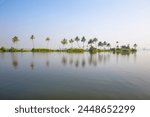 Backwaters, Alappuzha (Alleppey), Kerala, India, Asia