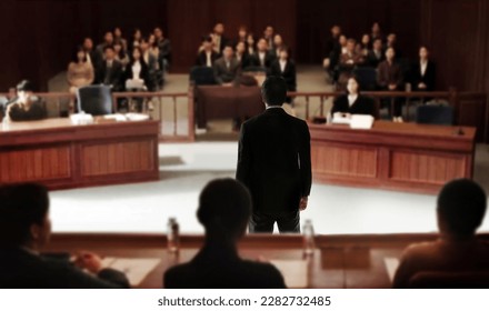 backyard of attester speaking to magistrate in courtroom, law adjustment for Legal battles for legitimacy concept. - Shutterstock ID 2282732485