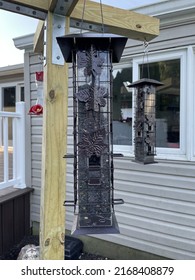 A backyard bird sanctuary in a suburban yard. There is a suet feeder with a tail prop, a bird bath, a hummingbird feeder, a tube feeder and a platform bird feeder. There are several rose bushes too.