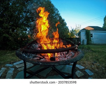 A Backyard Campfire In Summer