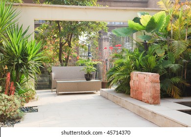 Backyard With Cane Chair And Tree In A Garden