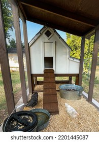 Backyard Chicken Coop For Small Flock