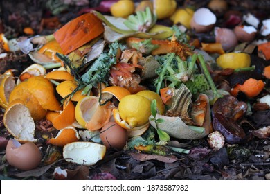 Backyard composting, compost pile with layers of organic matter and soil - Powered by Shutterstock