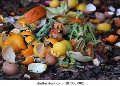 Backyard Composting, Compost Pile With Layers Of Organic Matter And Soil