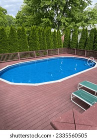 Backyard Deck, Pool, and Trees