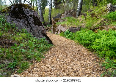 Backyard Decorative Garden Winding Pathway From Mulch. Garden Path Made Of Strewn Tree Bark Among Rocks And Trees In Shade, Natural Surroundings