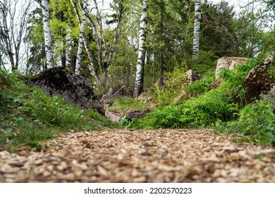 Backyard Decorative Garden Winding Pathway From Mulch. Garden Path Made Of Strewn Tree Bark Among Rocks And Trees In Shade, Natural Surroundings