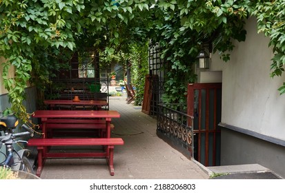 Backyard With A Decorative Tree, Wooden Bench And Table, Vintage Lantern. Exterior Details For Cafe, Restaurant, Hotel Or Guest House. Tourism, Summer Vacations, Public Places Design Concepts