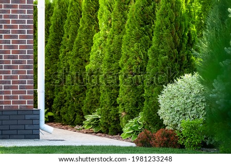 Backyard design elements of a beautiful private house.