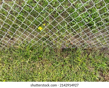 a backyard fence chain link metal garden security border fresh cut grass gardening yard gardening