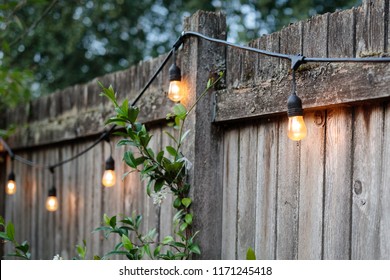 Backyard Fence With String Lights On A Summer Evening