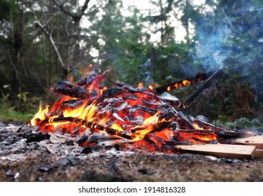 Backyard Fire Burning Logs Beautiful