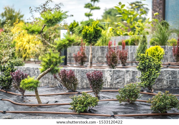 ガーデンアートの造園と灌漑