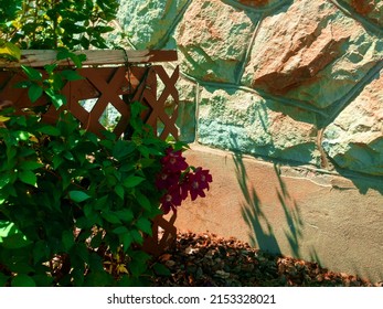 a backyard garden lattice vintage stone cut rock wall fortress cement mortar vine shed house