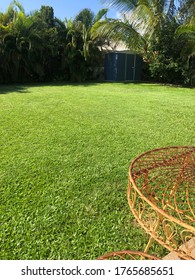 Backyard Garden With A Luscious Green Lawn, Overhanging Palm Trees With An Old Vintage Table