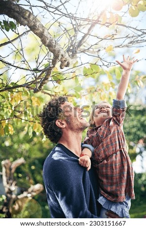 Backyard, girl and father bonding in fall nature, trees and garden in autumn or child, reaching leaf and branch. Young parent, little kid and happy together in green, outdoor and natural environment