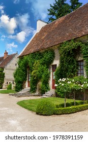 The Backyard Of The Guest House Is Covered With Vines. France.