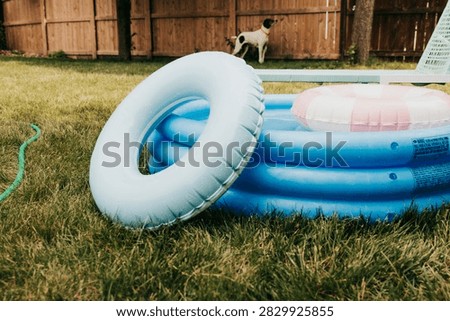 Backyard kiddie pool with floaties and a dog