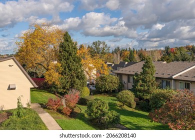 Backyard Landscape And Autumn Colors Gresham Oregon.