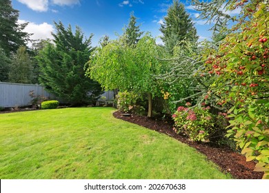 Backyard Landscape With Green Lawn,trees, Blooming Bushes